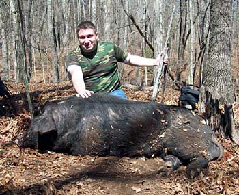 Tennessee Boar Hunt