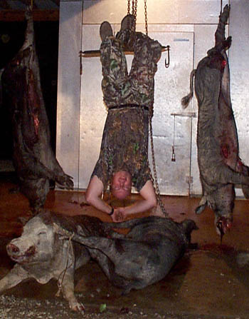 Tennessee Boar Hunting