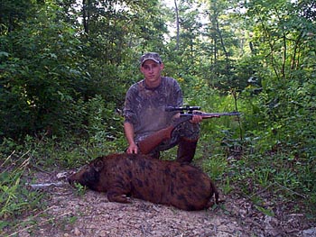 Tennessee Boar Hunting