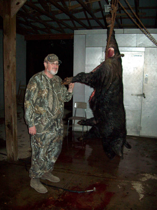 Tennessee Boar Hunting Picture