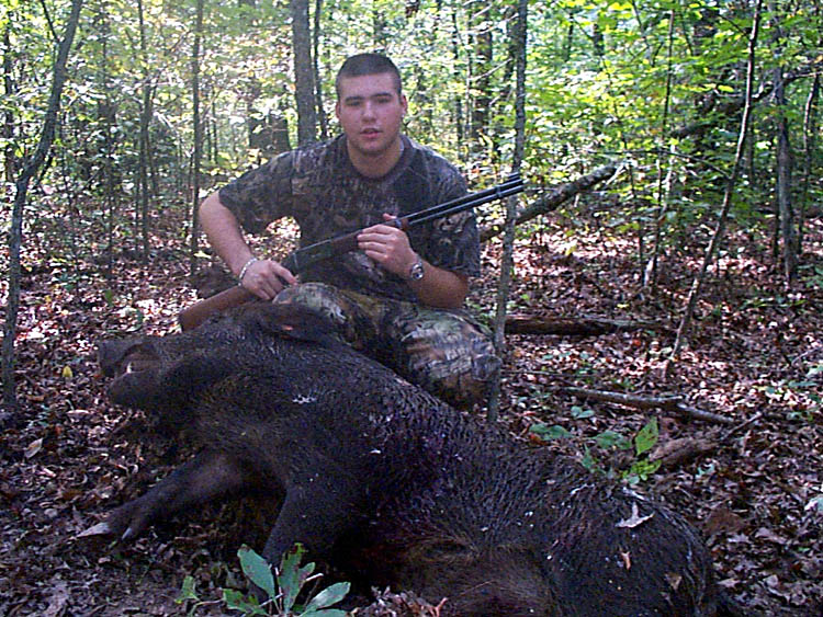 Tennessee Boar Hunting