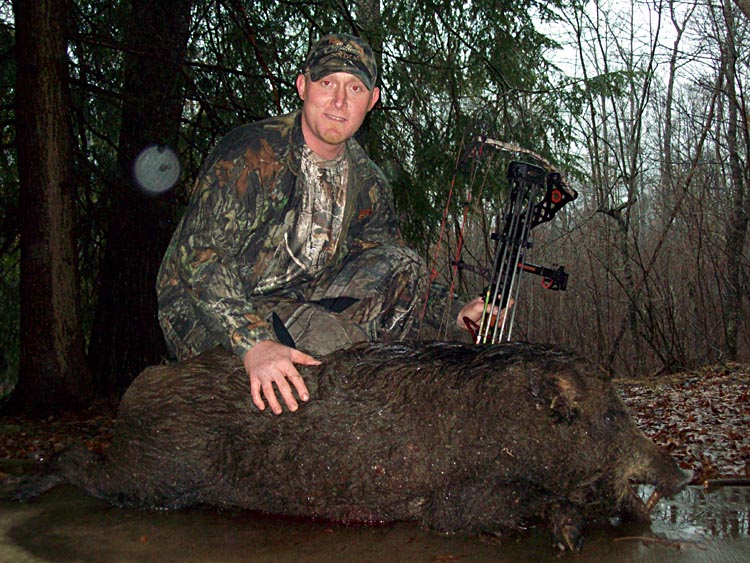 Tennessee Boar Hunting Picture