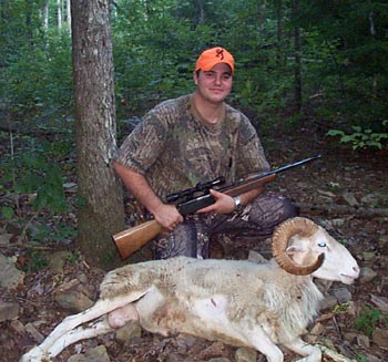 Texas Dall Ram Hunt