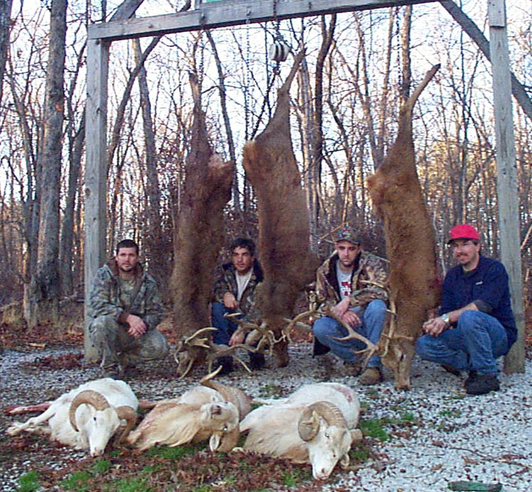 Tennessee Texas Dall, Stag Hunt