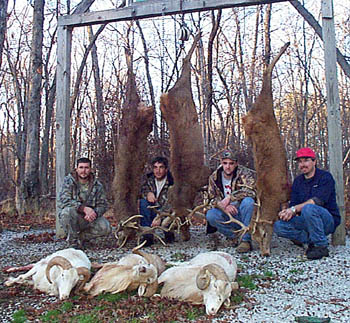 Tennessee Texas Dall, Red Stag Hunt