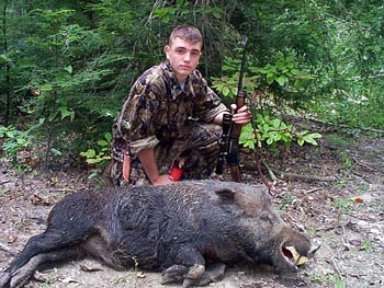 Tennessee Boar Hunting