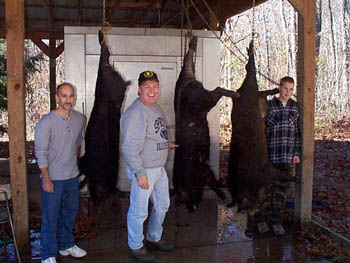 Tennessee Boar Hunt With Youth